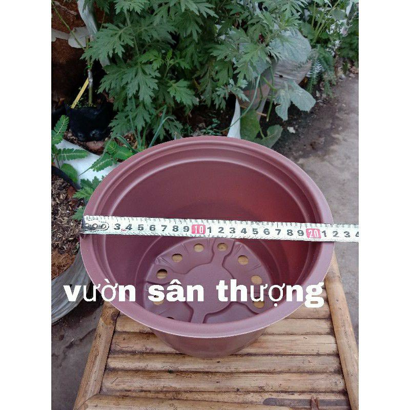 Set 10 Chậu 230x160 mm Thịnh khang, Siêu bền Tái sử Dụng Trên 5 Lần, Sử dụng Trồng Hoa, Ươm Cây, Làm Chậu để Bàn,..