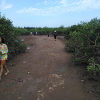 s68u1ax3_p