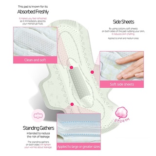 Bộ Sưu Tập Đệm Vệ Sinh Guiaerang [Sosey]