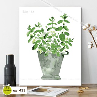Tranh tô màu 40x50cm có khung Chậu Cây Xanh T433