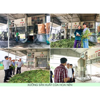 Trám Du Cao - Hoa Nén - giữ ấm, dùng khi muỗi đốt toàn cho mẹ và bé, tiện lợi bỏ túi - cao tràm 20gr