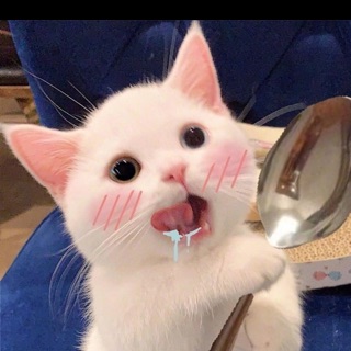 hienanh251106