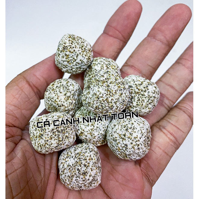 SỨ LỌC VIÊN SỨ TRẮNG BI MÈ VẬT LIỆU LỌC CHO BỂ CÁ CẢNH TÚI 1KG