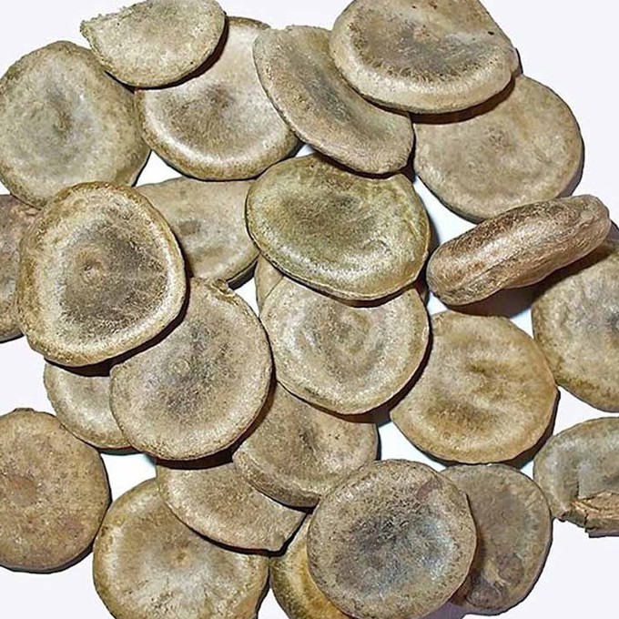 Hạt mã tiền khô thượng hạng JINDO 1kg