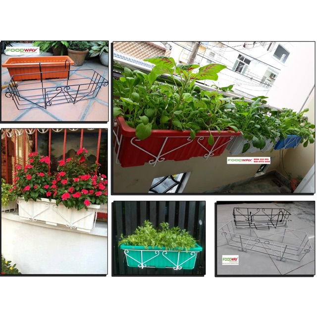 Chậu trồng rau móc tường | Shopee Việt Nam