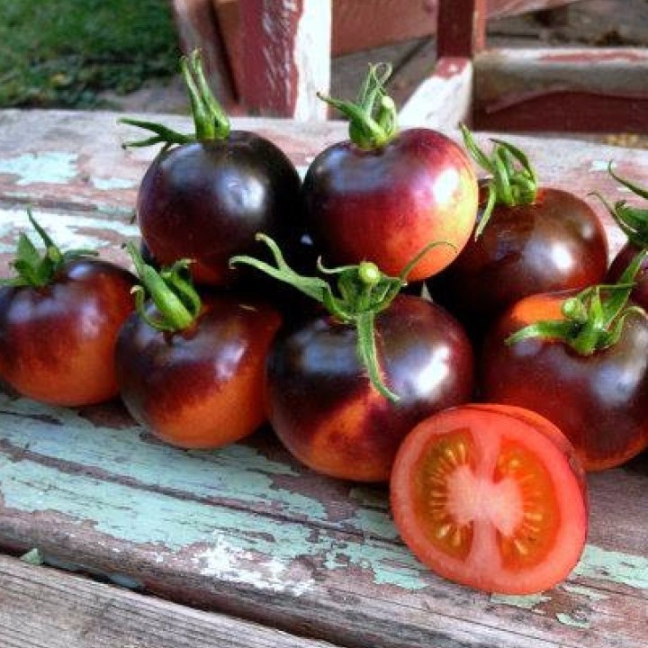 Hạt giống cà chua đen Mỹ - Giống F1