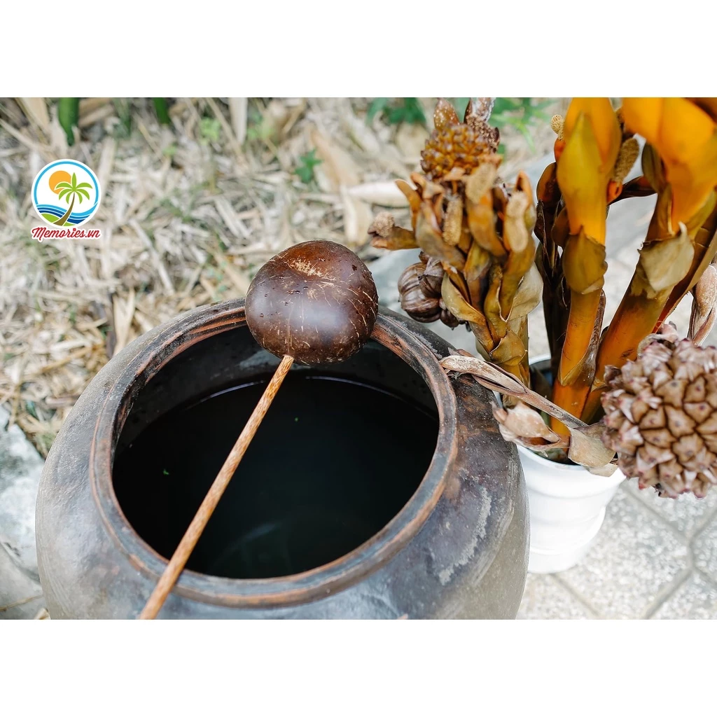 Gáo Dừa Múc Nước, Tưới Cây, Làm Bánh, Gội Đầu Dưỡng Sinh, Spa,  Phụ Kiện Trang Trí, Chụp Hình