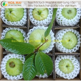 100 túi xốp bọc ổi sẵn chun và nilong kèm theo .