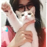 ngothuyduy1
