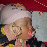 phonglanrung.com1