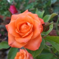 thanhbinh95dk