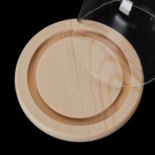 JUIC Chống Bụi Đèn Cổ Tích Trang Trí Nhà Terrarium Chai Trong Suốt Bình Thủy Tinh Hoa Hộp Bảo Quản
