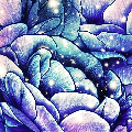 irisngoc