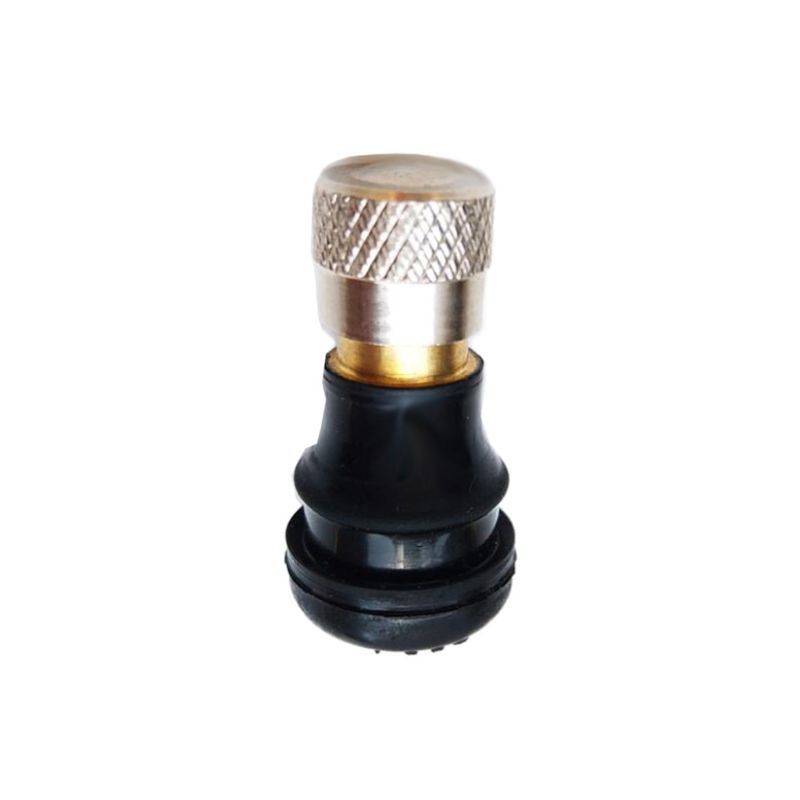 Bộ 2 Van Điện Cân Bằng Không Ruột Cho Xe Điện