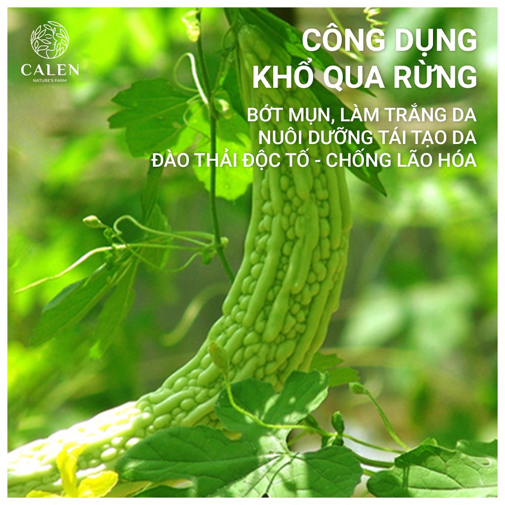 Bột khổ qua nguyên chất, mặt nạ bột khổ qua Calen Mask