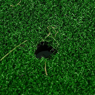 Thảm Tập Swing Golf - Swing Chip - tặng kèm đầu TEE