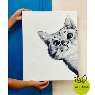Tranh tô màu số hóa Madoca có khung 40x50cm Chú mèo xinh xắn T141
