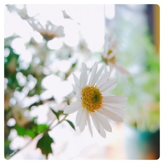 snowwinter95