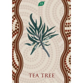Bộ Bài Aboriginal Healing Oracle (Mystic House Tarot Shop) - Bài Gốc Authentic Chính Hãng 100%