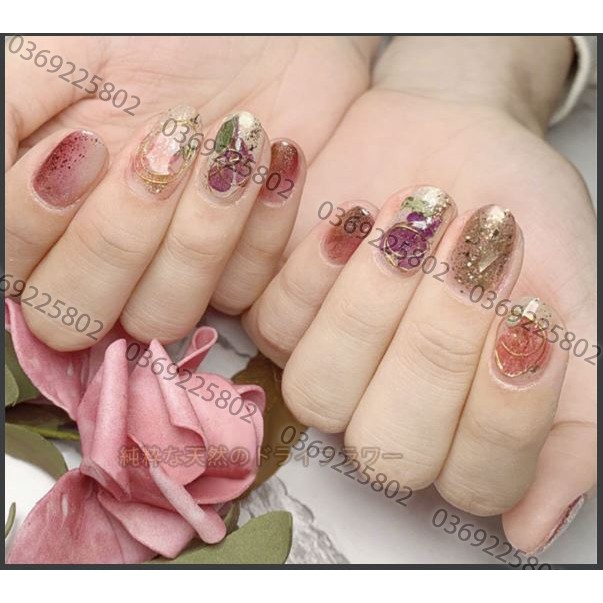 Set 12 mẫu HOA KHÔ NB cánh to trang trí móng