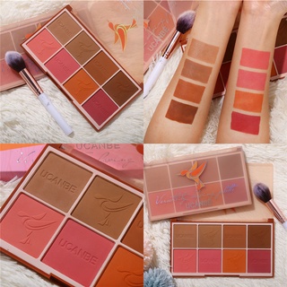 Bảng Định Hình Đa Năng UCANBE - Bảng Trang Điểm Đường Viền 8 Màu Phấn Má Hồng Phấn Mặt