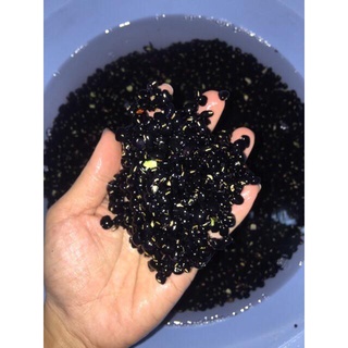[Combo Sỉ 5 KG - Tặng Lá Dứa Hoa Nhài] Trà Gạo Lứt Đậu Đen Xanh Lòng Rang Mộc Thiện Phát Rang Mộc ( đã rang chín)