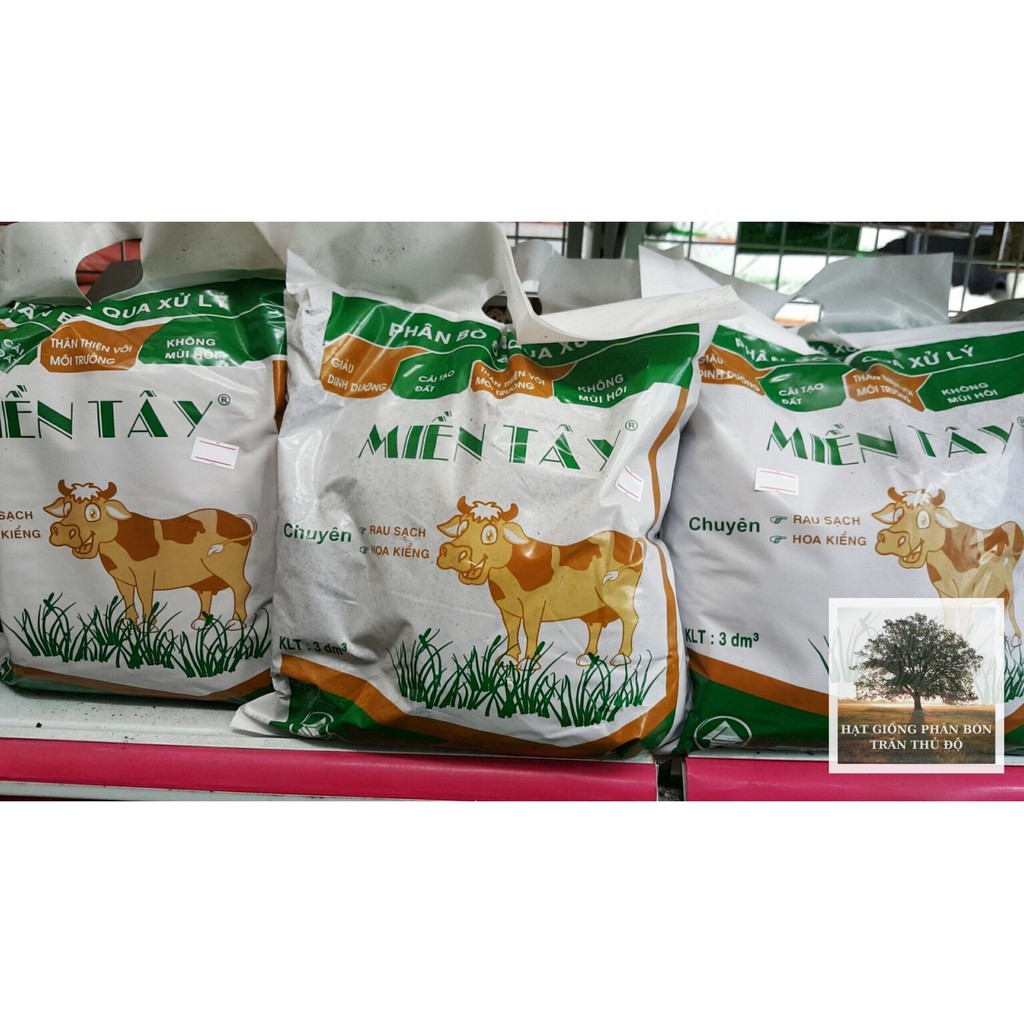 PHÂN BÒ MIỀN TÂY ĐÃ QUA XỬ LÝ DẠNG BỘT KHÔ 3DM3 ( ~ 600GR ) | Shopee ...