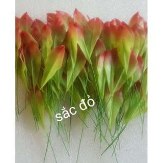 Lá mai non tô màu(100 lá).Sản phẩm loại 1