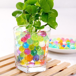 Hạt Tinh Thể - Hạt Nở Slime Trồng Cây Không Cần Đất, Trang Trí Lọ Hoa Nhiều Màu Cực Đẹp-134