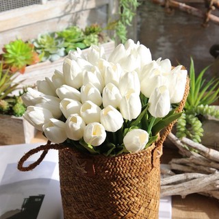 Hoa Giả 🌺 Hoa Tuy Líp Cao Su Lá Xoăn Bông Nhỏ