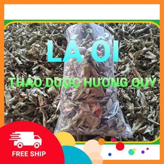1KG LÁ ỔI KHÔ, SẠCH, LOẠI 1 HỖ TRỢ GIẢM CÂN, TIỂU ĐƯỜNG, NGĂN RỤNG TÓC HÀNG CHUẨN-FREE SHIP