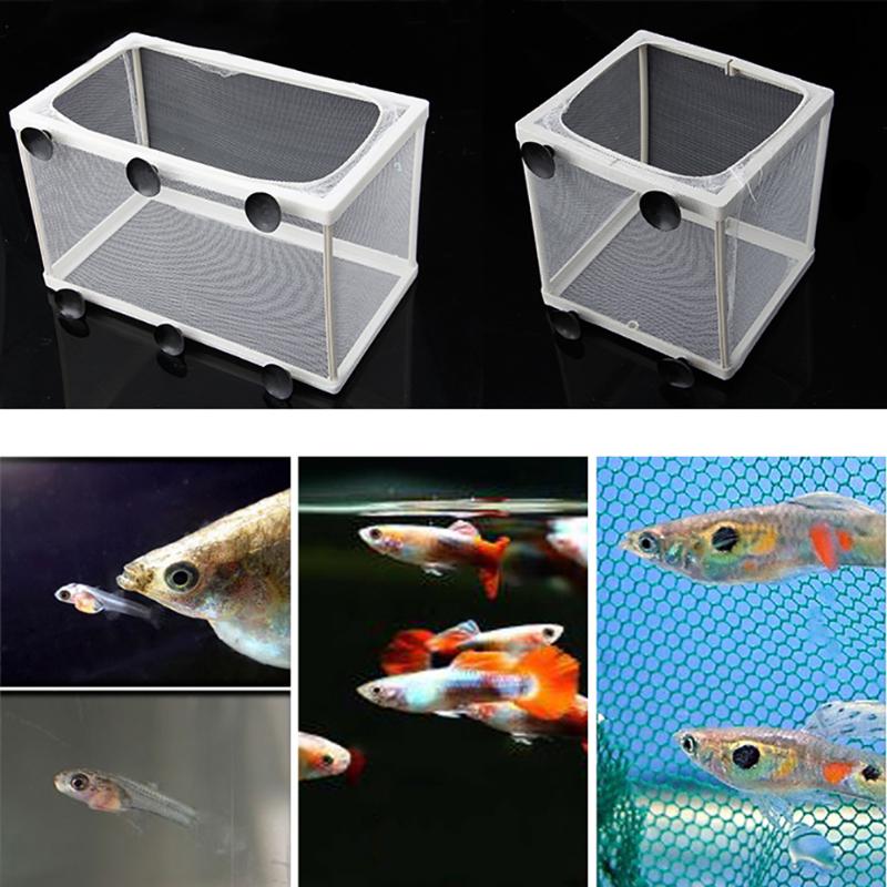 Lưới nhỏ dùng nuôi cá con gắn bể cá tiện dụng