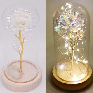 OAKANDME Kính cloche Cây Trang Trí Nhà Terrarium Trong Suốt Bình Thủy Tinh Hoa Hộp Bảo Quản