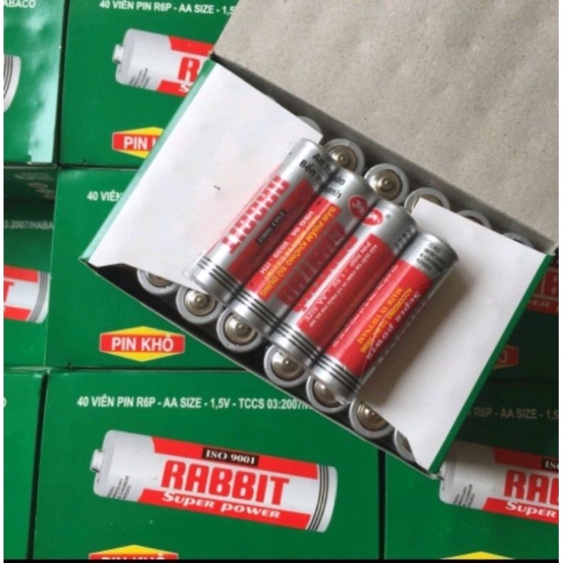 Pin Con thỏ cỡ nhỡ và nhỏ | Shopee Việt Nam