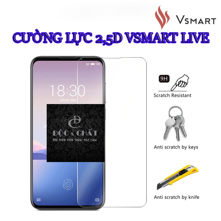 Cường lực Nano Vsmart Live