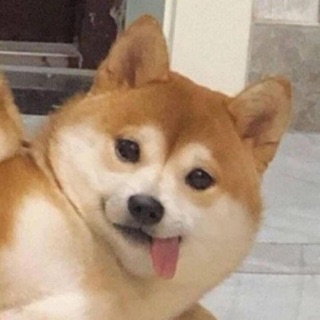 th_bernie