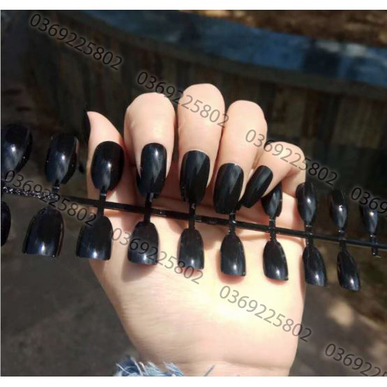 Móng sơn sẵn set 24 cái (đủ size)