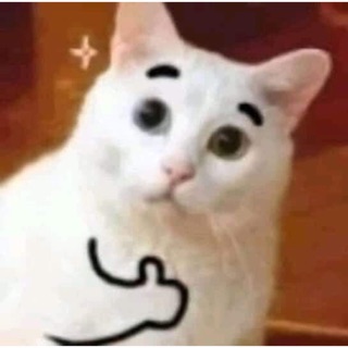 phanbaoaanh