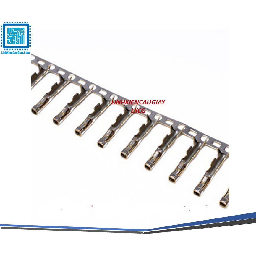 Lõi Header DuPont 2.54mm Cái (10 con) | Shopee Việt Nam