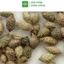 Ké đầu ngựa thượng hạng JINDO 1kg hỗ trợ buou co cực tốt
