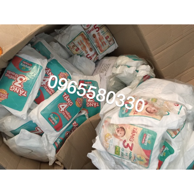 Pamper L | Shopee Việt Nam