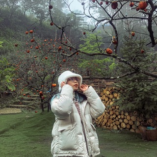 hangtrinh2006