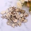 Set 50 miếng gỗ khắc hình vỏ sò/ sinh vật biển dùng trang trí tiệc cưới
