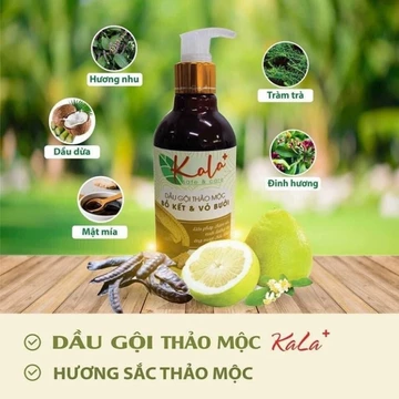 [SALE 10%] DẦU GỘI THẢO MỘC KALA CAO CẤP CHIẾT XUẤT BỒ KẾT VÀ VỎ BƯỞI 300ml | DẦU GỘI BƯỞI | DẦU GỘI BỒ KẾT famimark.co