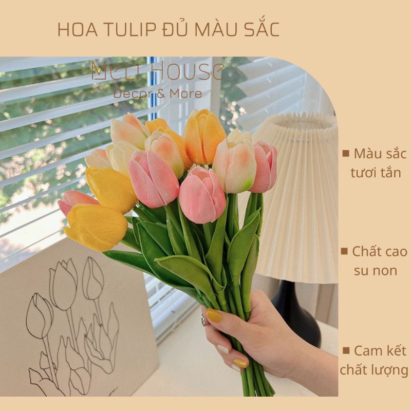 Ý nghĩa hoa tulip là gì? 999 hình nền hoa tulip chill, đẹp nhất trên  Pinterest - BlogAnChoi