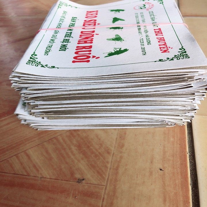 Combo 100 miếng dính ruồi nhiều keo