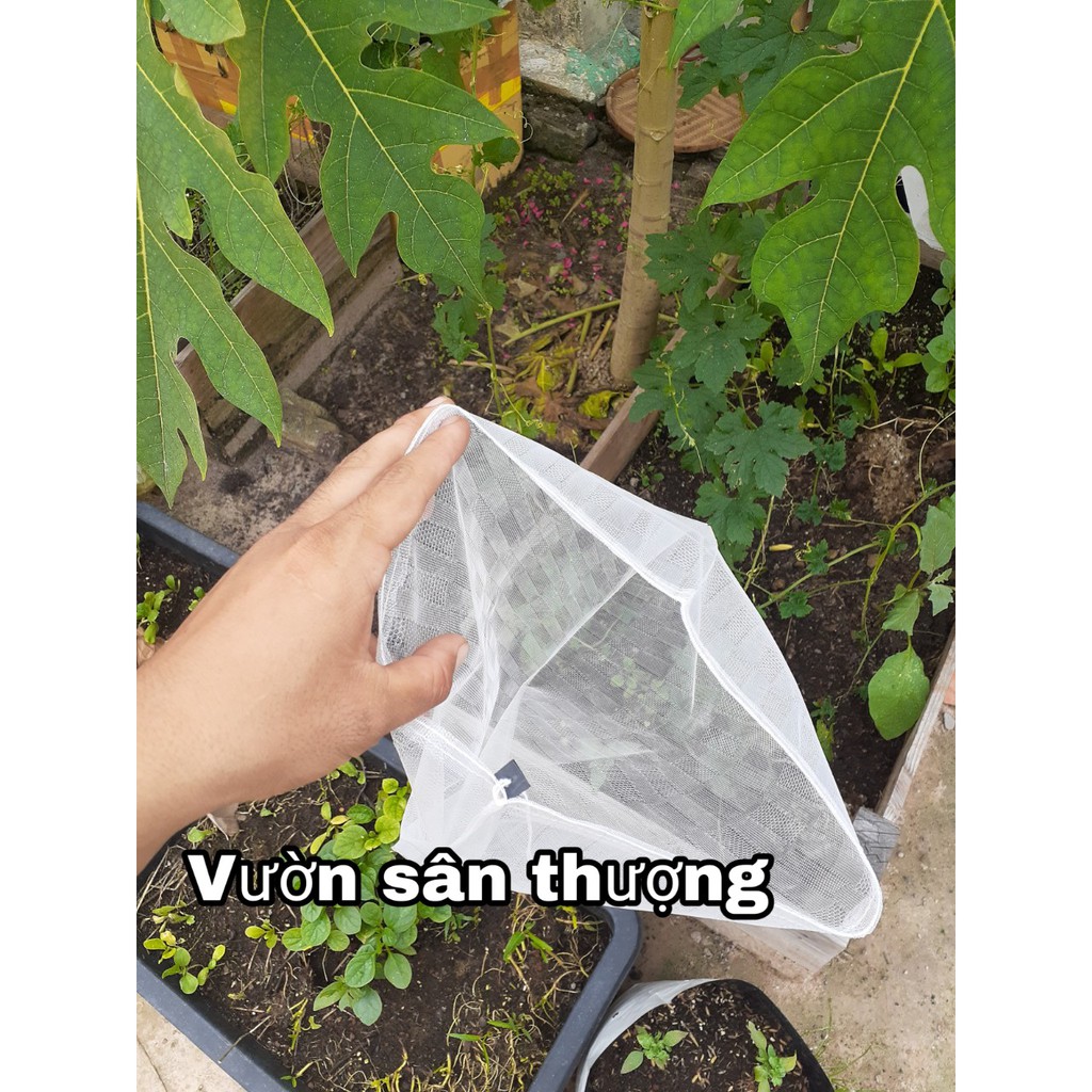 [ 5 Cái] Túi Bao Trái, Hoa Qủa Tránh Côn Trùng Lỗ Nhỏ Thoáng 30* 35 cm Phù Hợp Hầu Hết Các Loại Từ Bưởi, Khổ Qua,..,