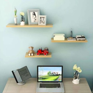 kệ treo tường trang trí decor để đổ đa năng cây cảnh mini