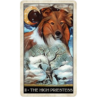 Bộ Bài Wise Dog Tarot (Mystic House Tarot) - Bài Gốc Authentic Chính Hãng 100%