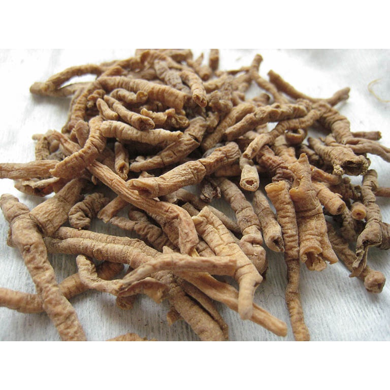 Viễn chí khô thượng hạng JINDO 1kg